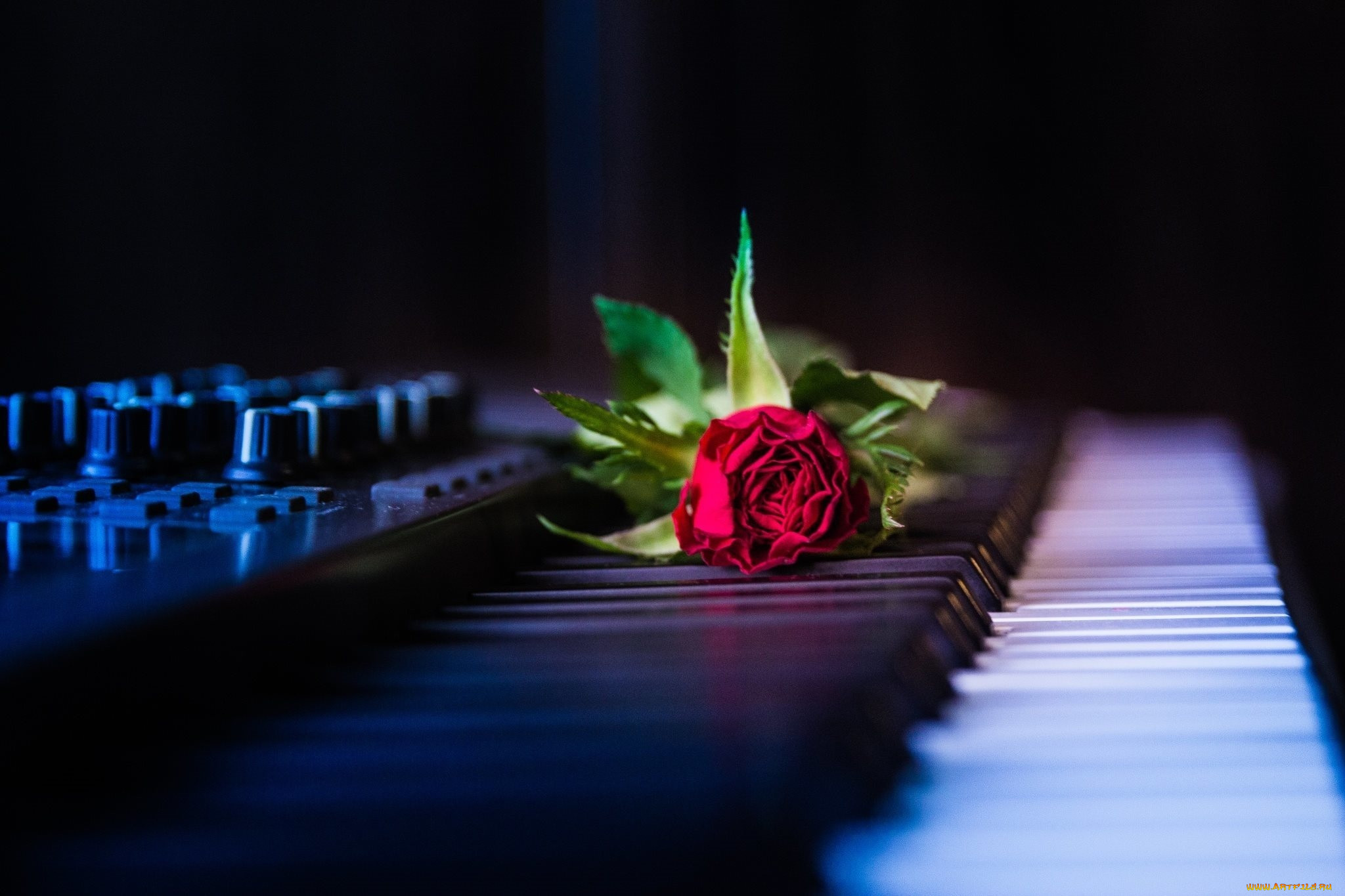 Музыка жизни видео. Цветы на рояле. Музыкальный цветок. Музыкальные инструменты и цветы. Фортепиано и цветы.